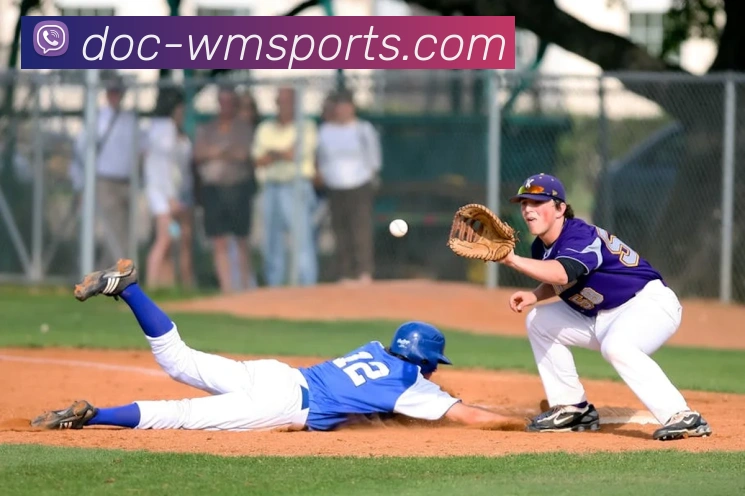 完美体育官网发展历程